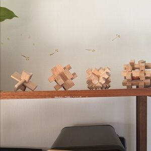 Wooden Puzzle Set